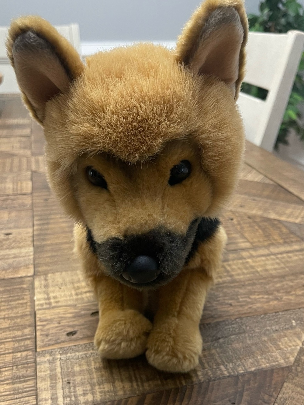 General, a highly detailed and realistic German Shepherd Dog Plush by Douglas